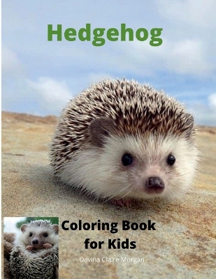 Hedgehog Coloring Book for Kids: Children Activity Book for Boys and Girls Ages 3-8 with Super Cute Hedgehog A Super Cool Gift for Boys and Girls Ages 3-8 - Hedgehog Coloring and Activity Book A Unique Collection Hedgehog Pages