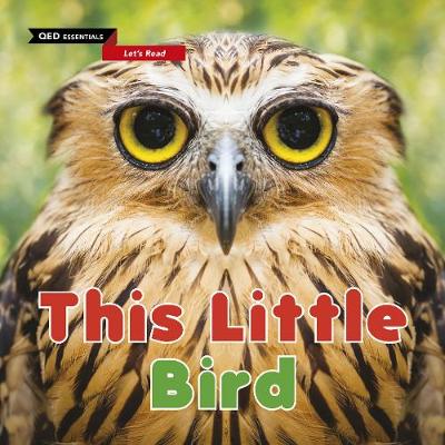 Let's Read: This Little Bird