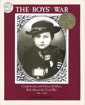Boys' War: Confederate and Union Soldiers Talk About the Civil War