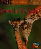 Animal Life Cycles