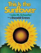 This is the Sunflower