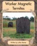 Springboard Lvl 19f: Magnetic Termites