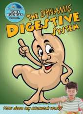 Dynamic Digestive System: How Does My Stomach Work?