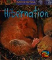 Hibernation