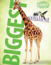 Biggest and Smallest