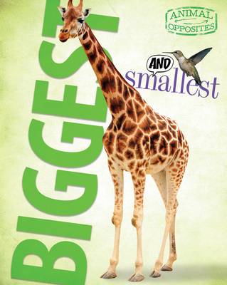 Biggest and Smallest