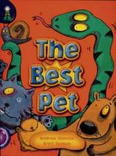 Lighthouse Yr2/P3 Purple: The Best Pet (6 Pack)