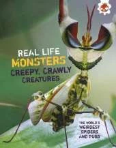 Weirdest Spiders and Bugs