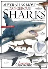 Aus Most Dangerous Sharks