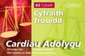 Cardiau Adolygu'r Gyfraith - Cyfraith Trosedd