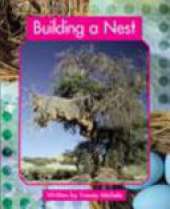 Springboard Lvl 21b: Building a Nest