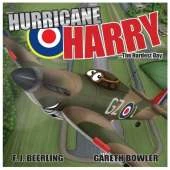 Hurricane Harry: Mini History