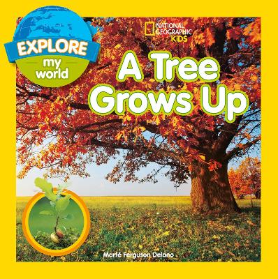 A Tree Grows Up
