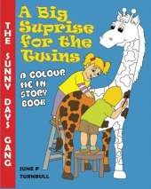 A Big Surprise for the Twins: A Colour Me In Story Book