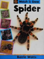 Watch It Grow: Spider