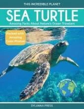 Sea Turtle: Amazing Facts About Nature's Ocean Travelers