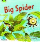 Match Funding My First Phonics Big Spider Green C Set 27