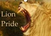 Lion Pride 2019: Captured moments of wild lions in South Africa.