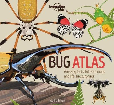 Lonely Planet Kids Bug Atlas: Amazing Facts & Fold Out Maps | Meet Spiders, Butterflies, Beetles & More | Packed with Beautiful Illustrations & Macro Photography