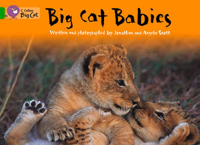 Big Cat Babies Workbook