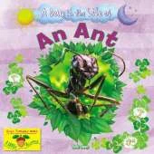 An Ant