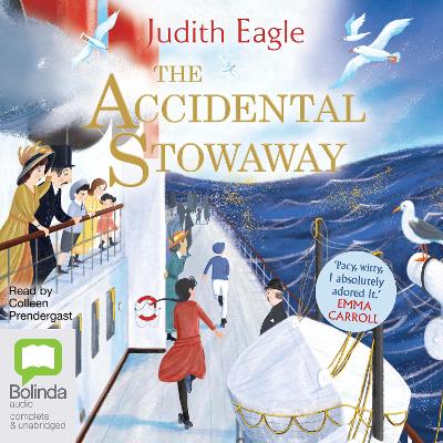 The Accidental Stowaway