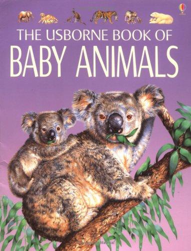 Baby Animals: Young Nature