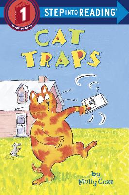 Cat Traps