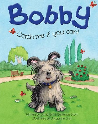 Bobby: Catch Me If You Can