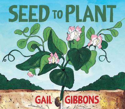 Seed to Plant: An Engaging Introduction to Seeds and Their Life Cycle Including Germination, Pollination, Plant Growth, and More