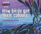 How birds got their colours