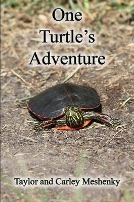 One Turtle's Adventure