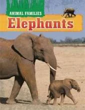 Elephants