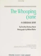 The Whooping Crane: A Comeback Story
