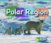 In a Polar Region