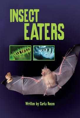 Insect Eaters
