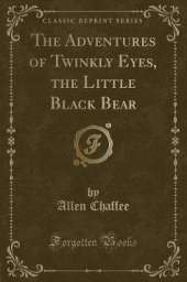 The Adventures of Twinkly Eyes, the Little Black Bear (Classic Reprint)
