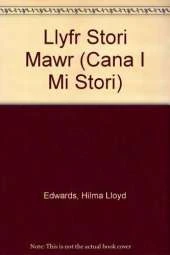 Llyfr Stori Mawr