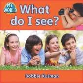 What do I see?: Looking in My World