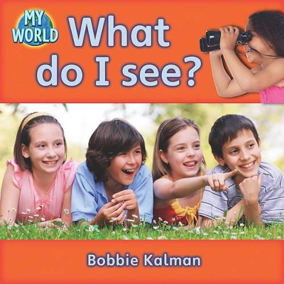 What do I see?: Looking in My World