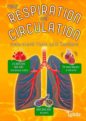 Your Respiration and Circulation: Understand it with Numbers