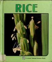 Rice
