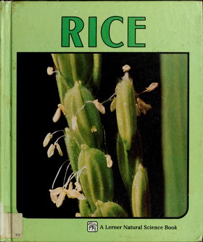 Rice