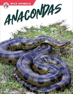 Anacondas
