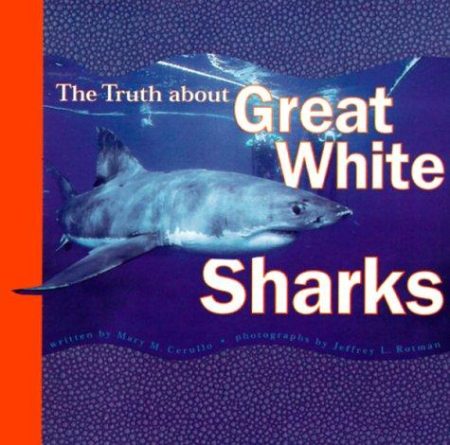 Truth About Great White Sharks