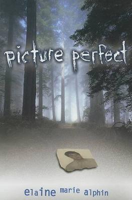 Picture Perfect