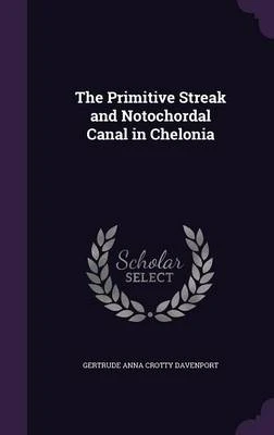 The Primitive Streak and Notochordal Canal in Chelonia