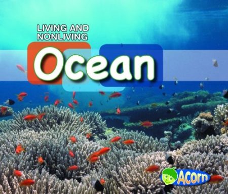In the Ocean