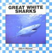 Great White Sharks