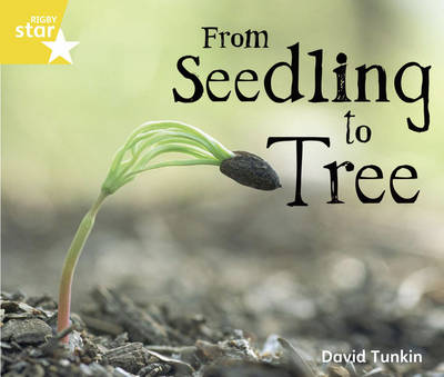 Rigby Star Guided Quest Year 1/P2 Yellow: From Seedling to Tree (6 Pack) Framework Edition